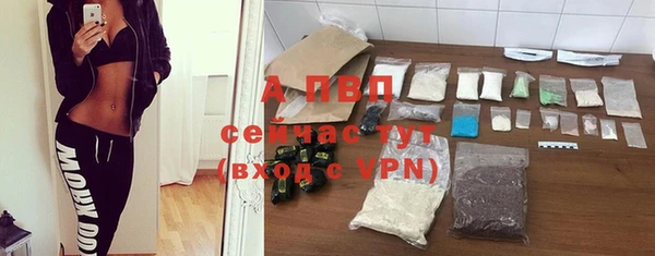 шишки Михайловка