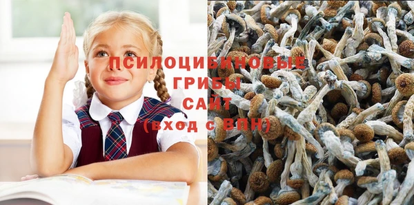 МДМА Михайловск