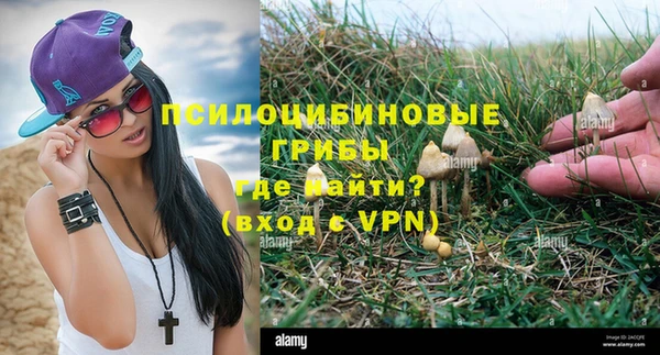 MESCALINE Михайлов