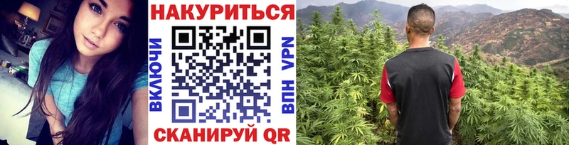 Бошки Шишки THC 21% mega ссылки Псков где купить наркоту